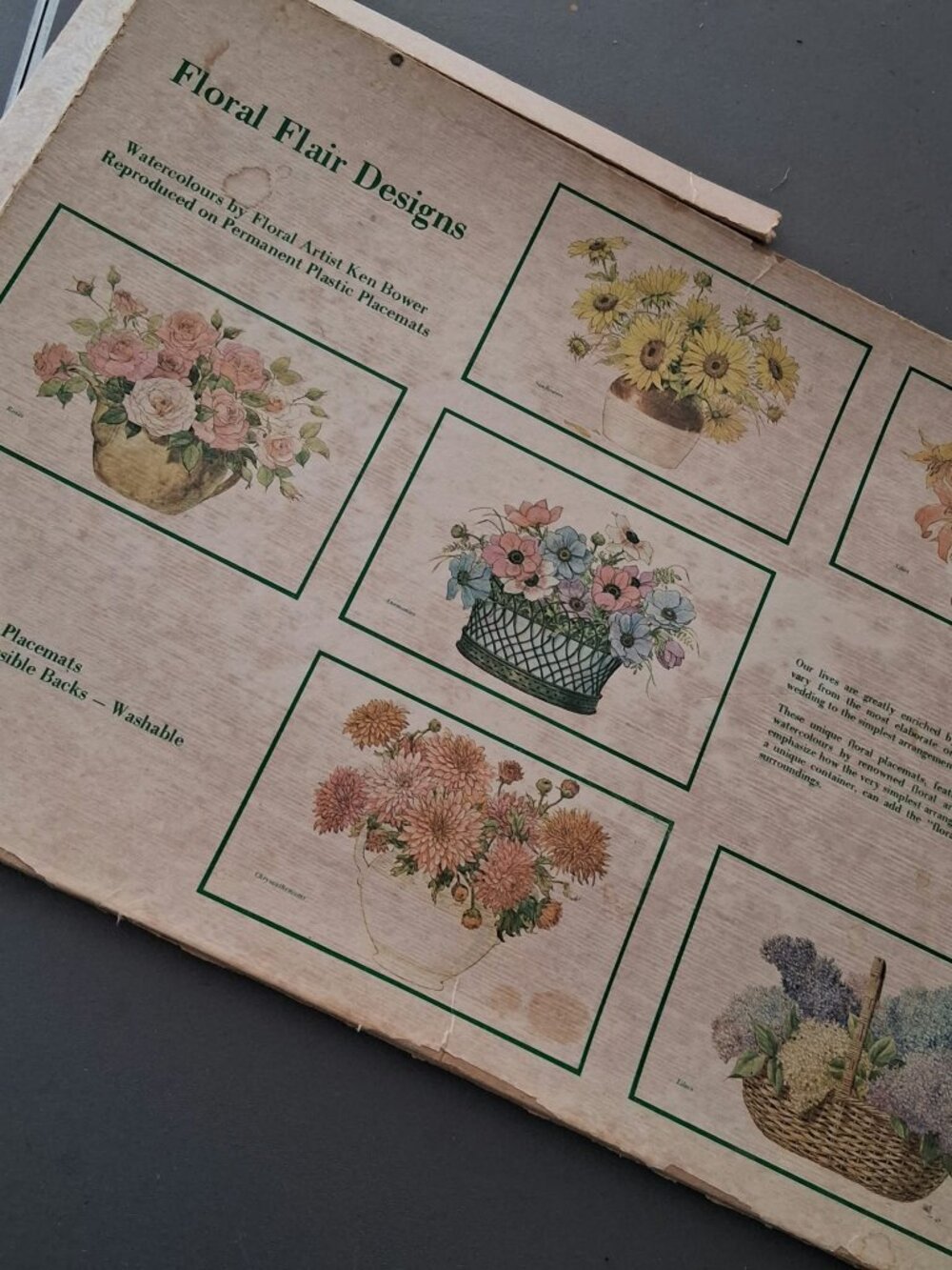 VINTAGE LAMINATED PLACEMATS 6 Floral design- 1975 by Ken Bower- dual sided 12x17